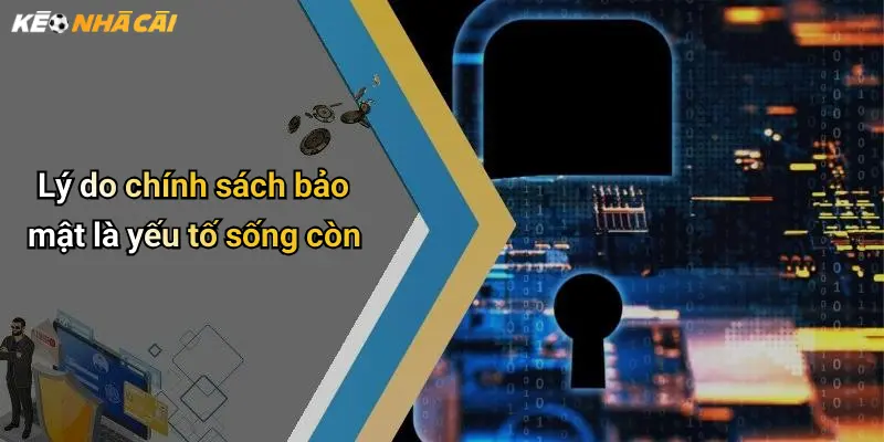 Lý do chính sách bảo mật là yếu tố sống còn