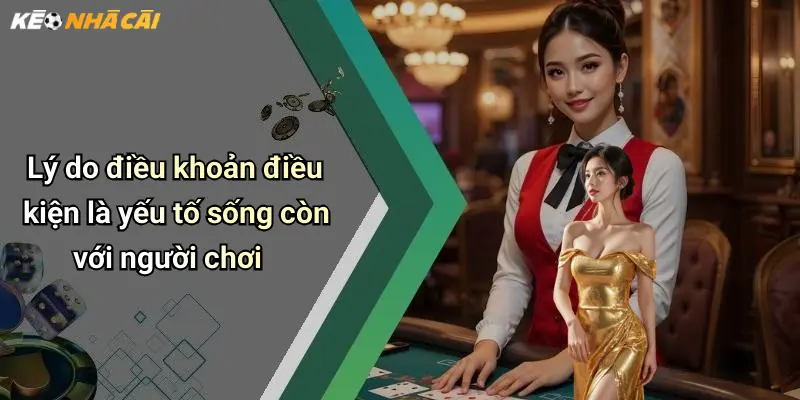 Điều Khoản Điều Kiện: Bảo Vệ Quyền Lợi Cho Người Chơi Tại Kèo Nhà Cái 3 Lý do điều khoản điều kiện là yếu tố sống còn với người chơi