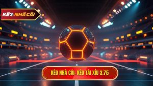 Kèo tài xỉu 3.75 hiệp 2: Khám phá bí mật và chiến thuật bất bại