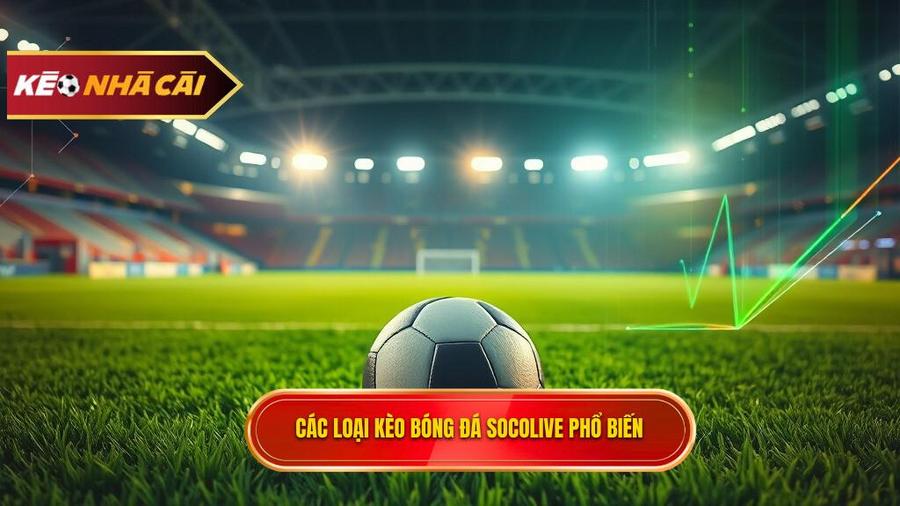 Các loại kèo bóng đá Socolive phổ biến nhất hiện nay