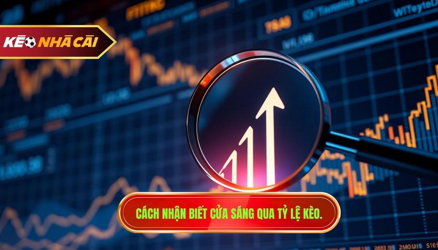 Kinh nghiệm bắt kèo ngược đám đông: Nghệ thuật đi ngược dòng để chiến thắng 2 2. Cách nhận biết cửa sáng qua tỷ lệ kèo.