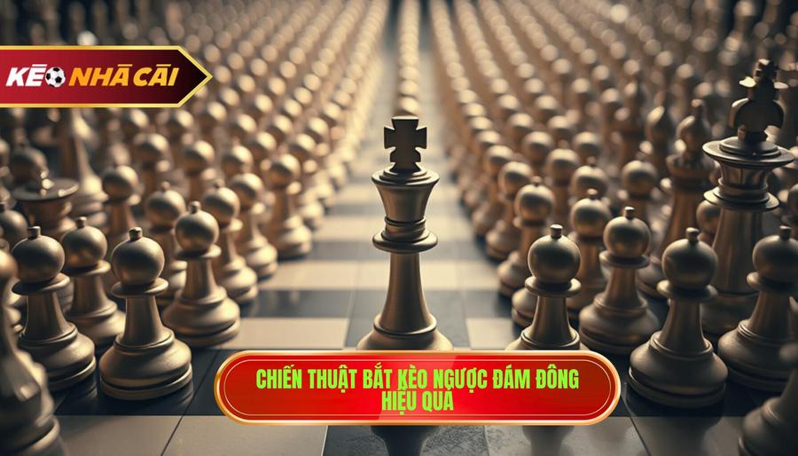 Khi nào nên theo cửa dưới? Kinh nghiệm "vàng" giúp bet thủ về bờ an toàn 3 3. Chiến thuật bắt kèo ngược đám đông hiệu quả