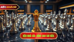 Khi nào nên theo cửa dưới? Kinh nghiệm "vàng" giúp bet thủ về bờ an toàn